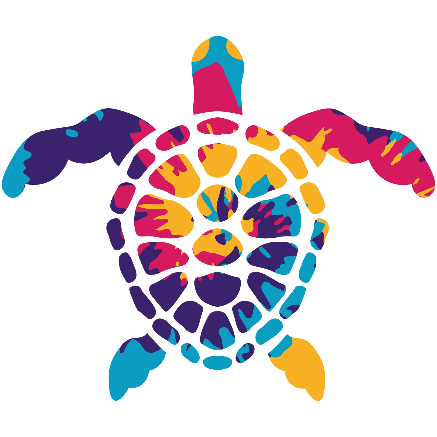 Turtle (colorful)